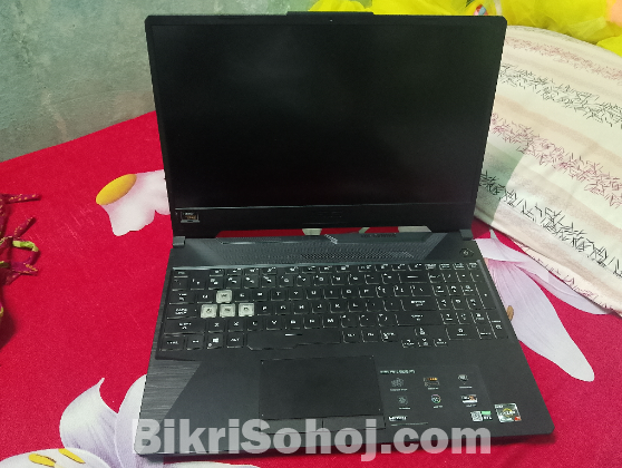 Asus TUF Gaming A15 (RTX 2060 6GB)